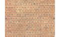 Noch 57730 Red Brick Wall HO/TT Scale