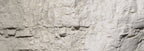 Woodland Scenics C1217 Liquid Pigment Earth Colors Concrete