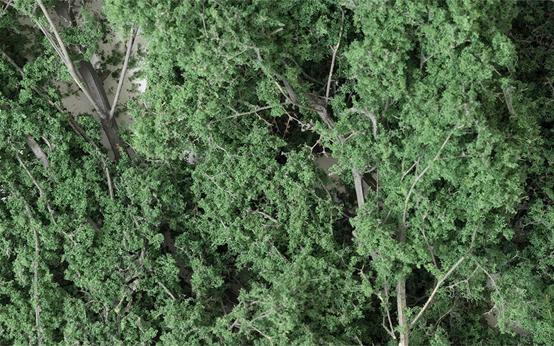 Woodland Scenics F1130 Fine-Leaf Foliage Dark Green