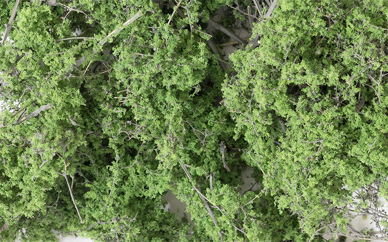 Woodland Scenics F1131 Fine-Leaf Foliage Medium Green