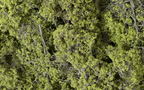 Woodland Scenics F1132 Fine-Leaf Foliage Light Green