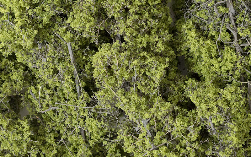 Woodland Scenics F1132 Fine-Leaf Foliage Light Green