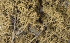 Woodland Scenics F1134 Fine-Leaf Foliage Dead Foliage