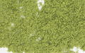 Woodland Scenics F51 Foliage Light Green