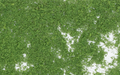Woodland Scenics F52 Foliage Medium Green