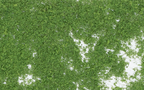 Woodland Scenics F52 Foliage Medium Green