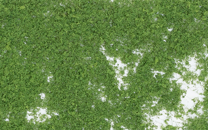Woodland Scenics F52 Foliage Medium Green