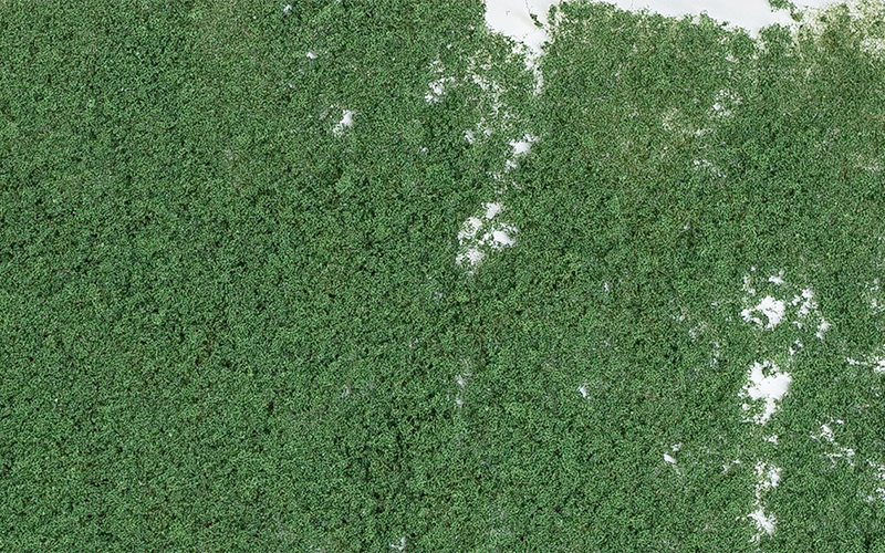 Woodland Scenics F53 Foliage Dark Green