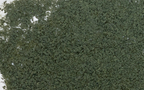 Woodland Scenics F54 Foliage Conifer Green