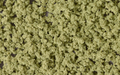 Woodland Scenics FC134 Underbrush Olive Green