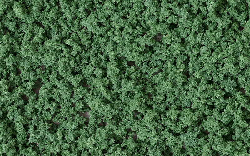 Woodland Scenics FC137 Underbrush Dark Green