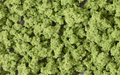 Woodland Scenics FC145 Bushes Light Green