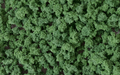 Woodland Scenics FC147 Bushes Dark Green