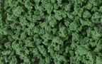 Woodland Scenics FC147 Bushes Dark Green