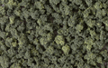 Woodland Scenics FC149 Bushes Forest Blend