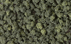 Woodland Scenics FC149 Bushes Forest Blend