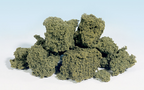 Woodland Scenics FC57 Foliage Clusters Light Green