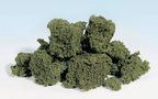 Woodland Scenics FC58 Foliage Clusters Medium Green