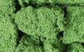 Woodland Scenics FC58 Foliage Clusters Medium Green