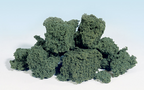 Woodland Scenics FC59 Foliage Clusters Dark Green