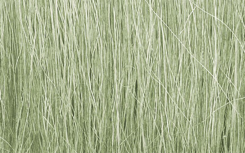 Woodland Scenics FG173 Field Grass Light Green