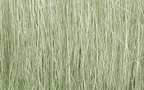 Woodland Scenics FG173 Field Grass Light Green