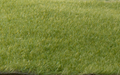 Woodland Scenics FS616 Static Grass Straw 2mm