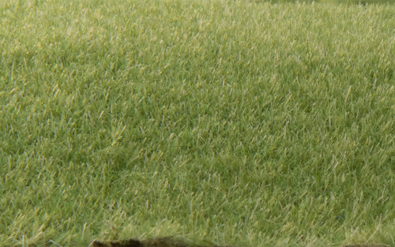 Woodland Scenics FS614 Static Grass Medium Green 2mm