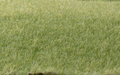 Woodland Scenics FS614 Static Grass Medium Green 2mm