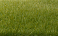 Woodland Scenics FS617 Static Grass Dark Green 4mm