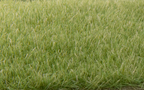 Woodland Scenics FS618 Static Grass Medium Green 4mm