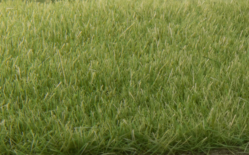 Woodland Scenics FS618 Static Grass Medium Green 4mm