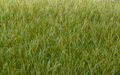 Woodland Scenics FS621 Static Grass Dark Green 7mm