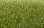 Woodland Scenics FS621 Static Grass Dark Green 7mm
