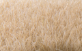 Woodland Scenics FS624 Static Grass Straw 7mm