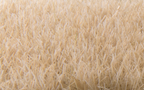 Woodland Scenics FS624 Static Grass Straw 7mm