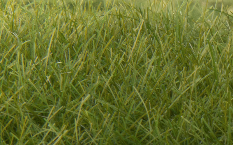 Woodland Scenics FS625 Static Grass Dark Green 12mm