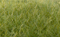 Woodland Scenics FS625 Static Grass Dark Green 12mm