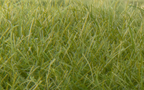 Woodland Scenics FS625 Static Grass Dark Green 12mm