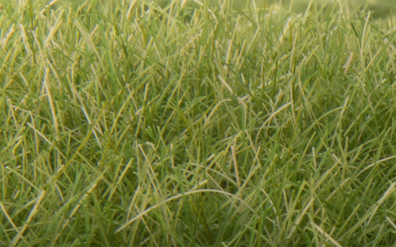 Woodland Scenics FS626 Static Grass Medium Green 12mm