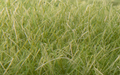 Woodland Scenics FS626 Static Grass Medium Green 12mm