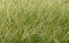 Woodland Scenics FS626 Static Grass Medium Green 12mm