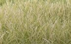 Woodland Scenics FS627 Static Grass Light Green 12mm