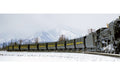 Kato 8028-1 SEKI 3000 Coal Freight Car 2-Car Set (with coal) N Scale