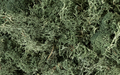 Woodland Scenics L164 Lichen Dark Green