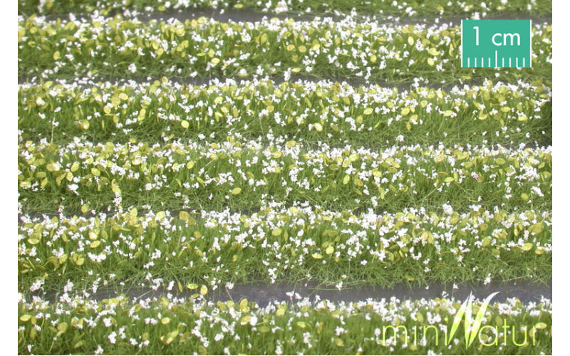 MiniNatur 731-21S Blossom Strips White