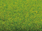 Noch 00005 Mini Grass Mat 45 x 30 cm