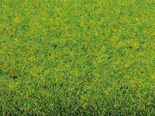 Noch 00005 Mini Grass Mat 45 x 30 cm