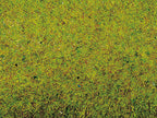 Noch 00005 Mini Grass Mat 45 x 30 cm