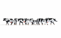 Noch 15725 Cows  Black and White HO Scale